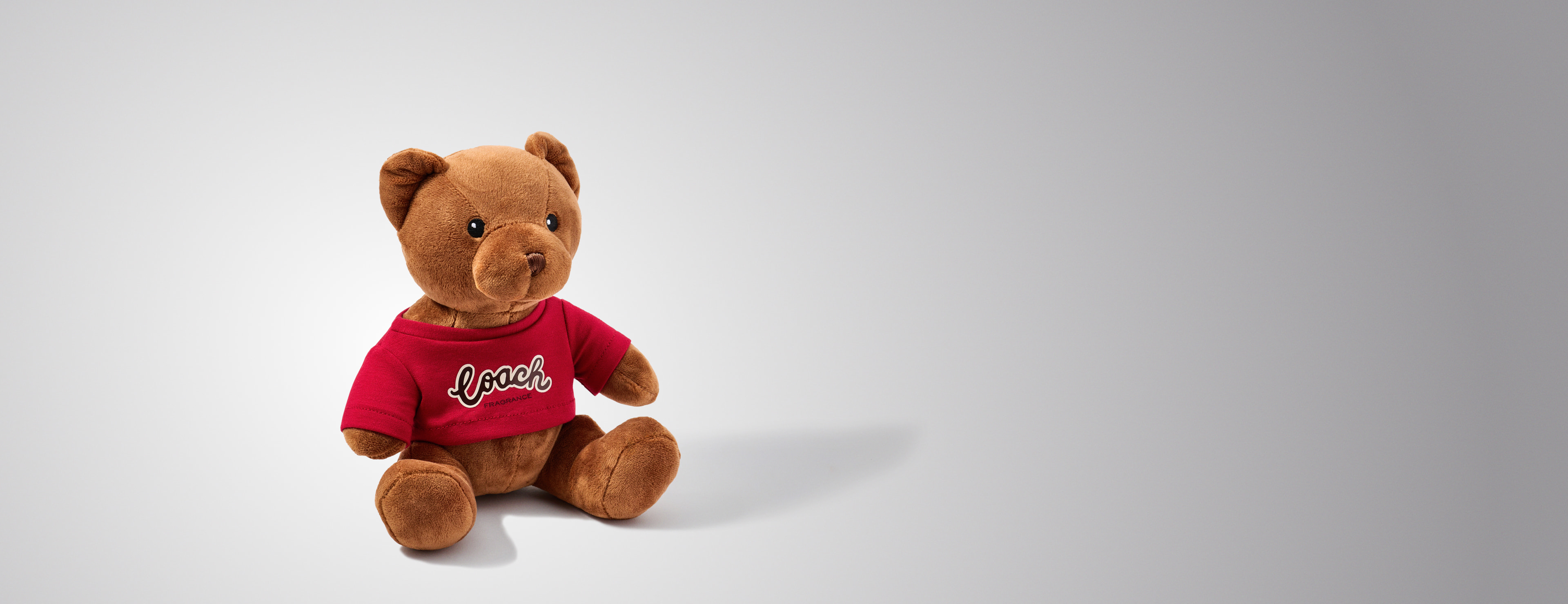 Teddy Bear<br />from Coach