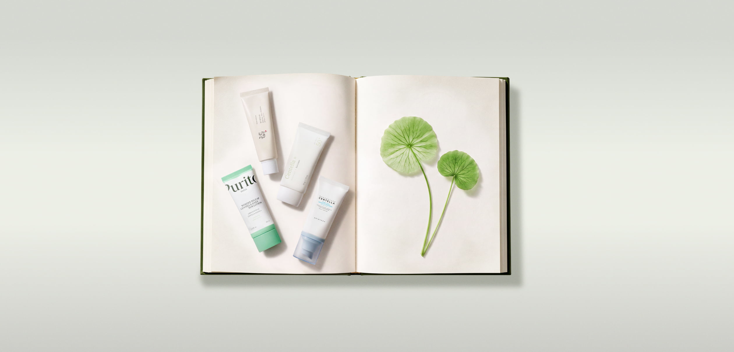 centella sunscreens