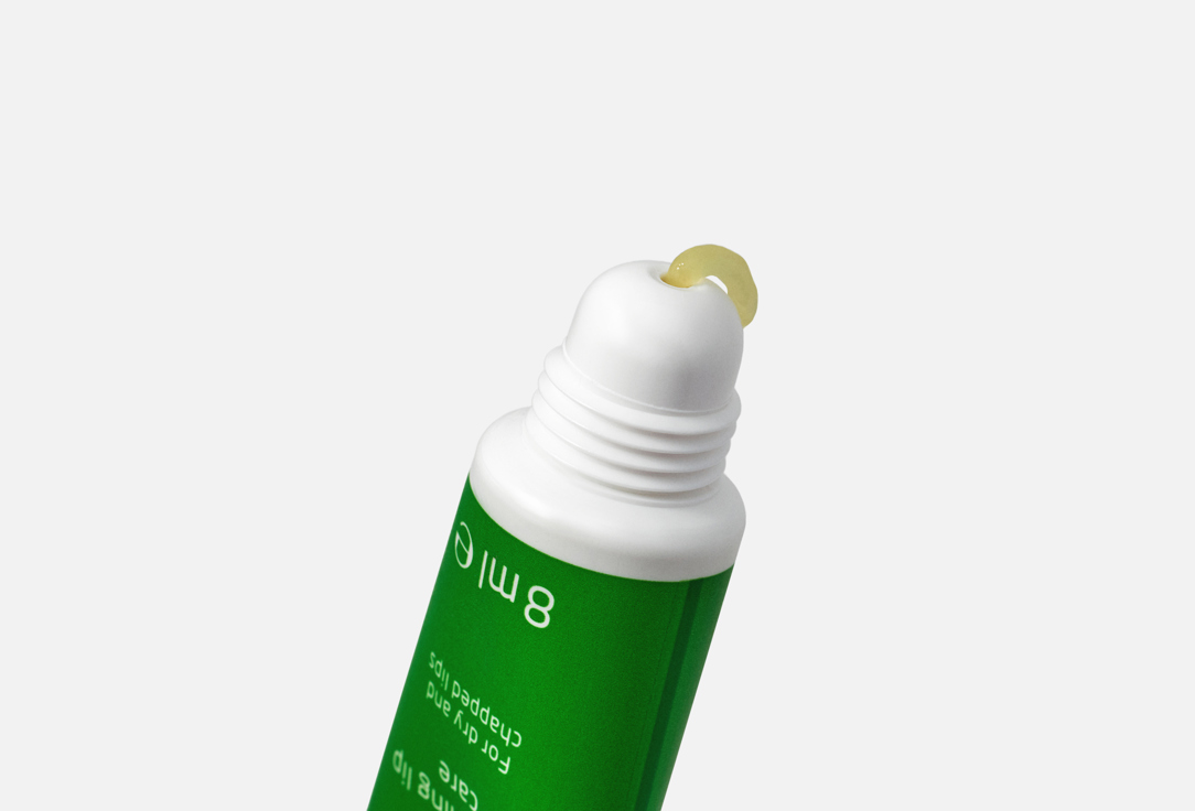 Weleda Moisturizing Lip Balm Skin Food Transparent 8 ml Weleda Moisturizing Lip Balm Skin Food