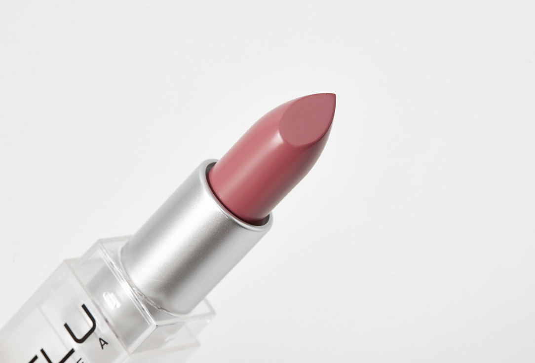 INFLUENCE beauty matte lipstick INFLUENCE
