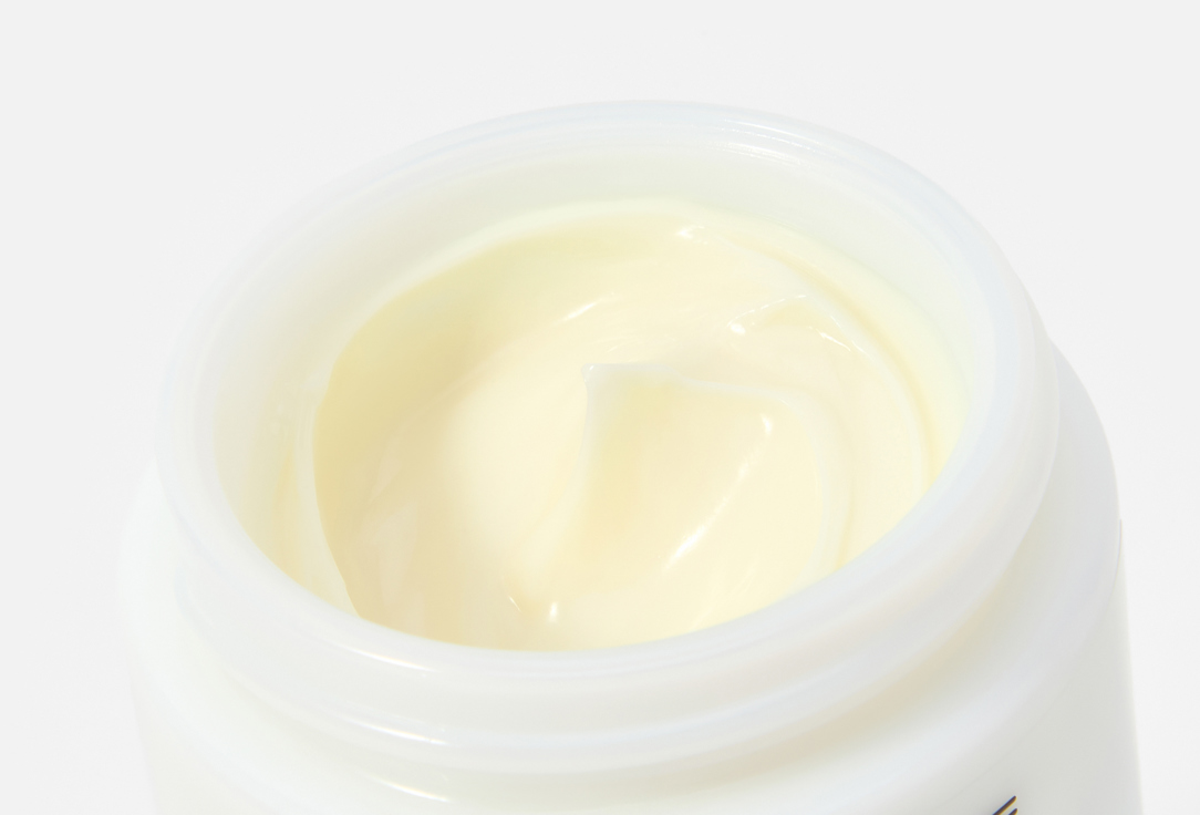 Laboratorios Babe Night Anti-Aging Face Cream Multi Repair Night Cream