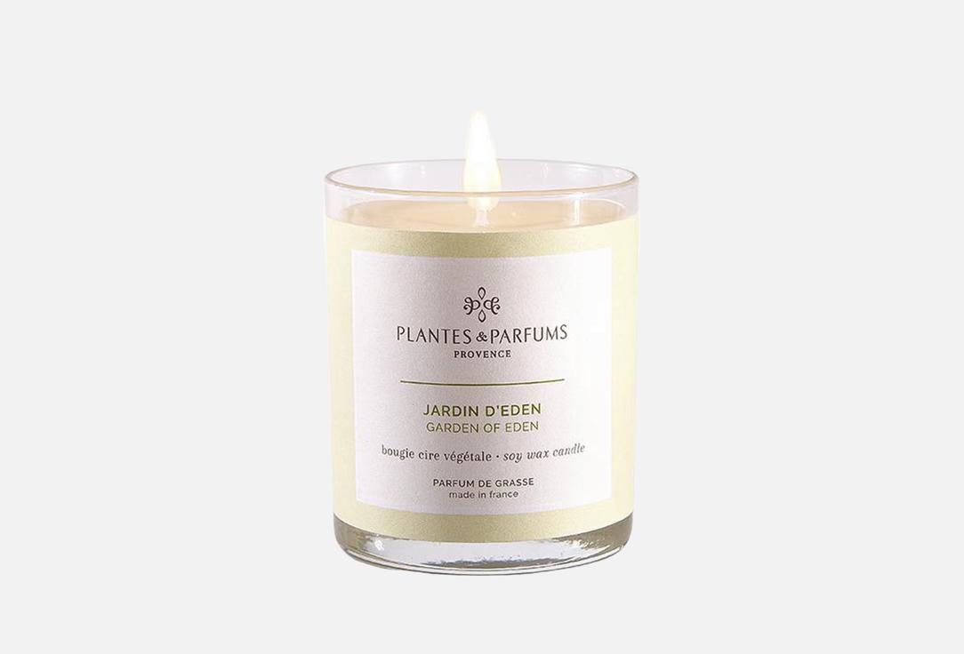 Plantes et Parfums de Provence Perfumed Candle Garden of Eden