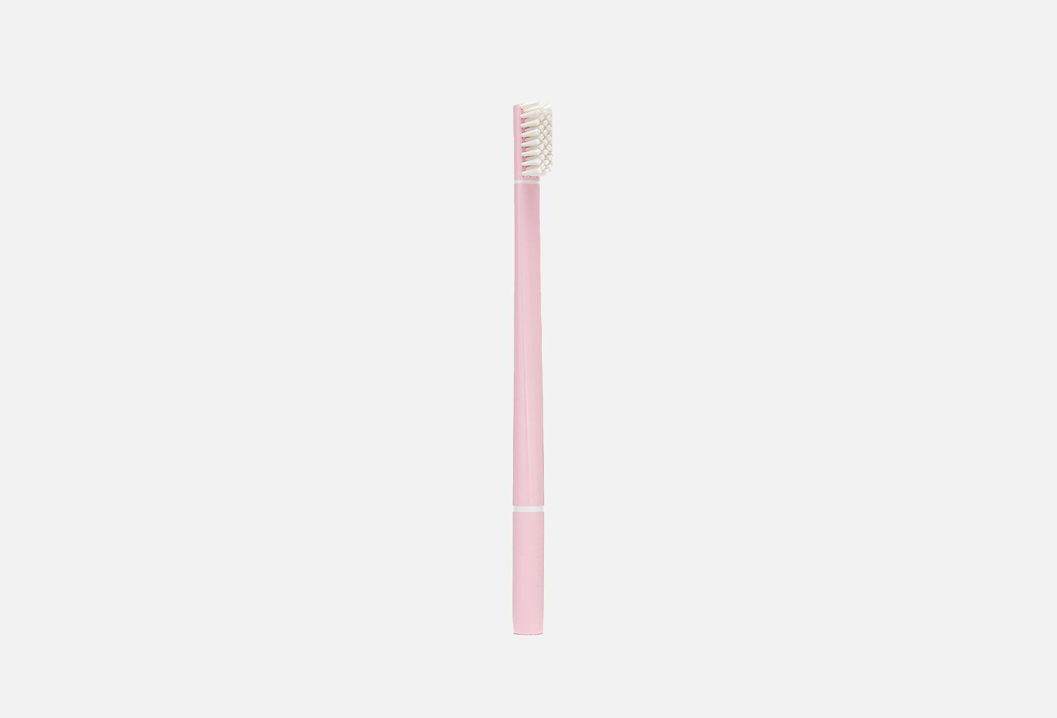 T03 Single Pack Echinacea Pink  1 