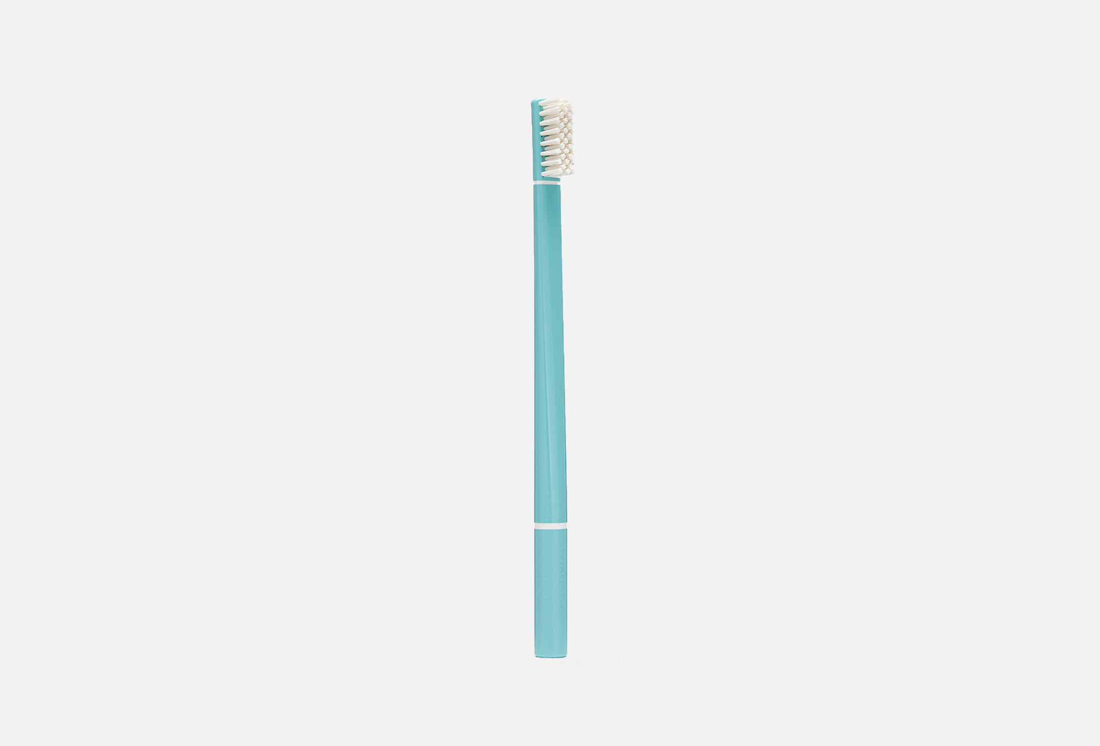 T03 Single Pack Echinacea Turquoise 1