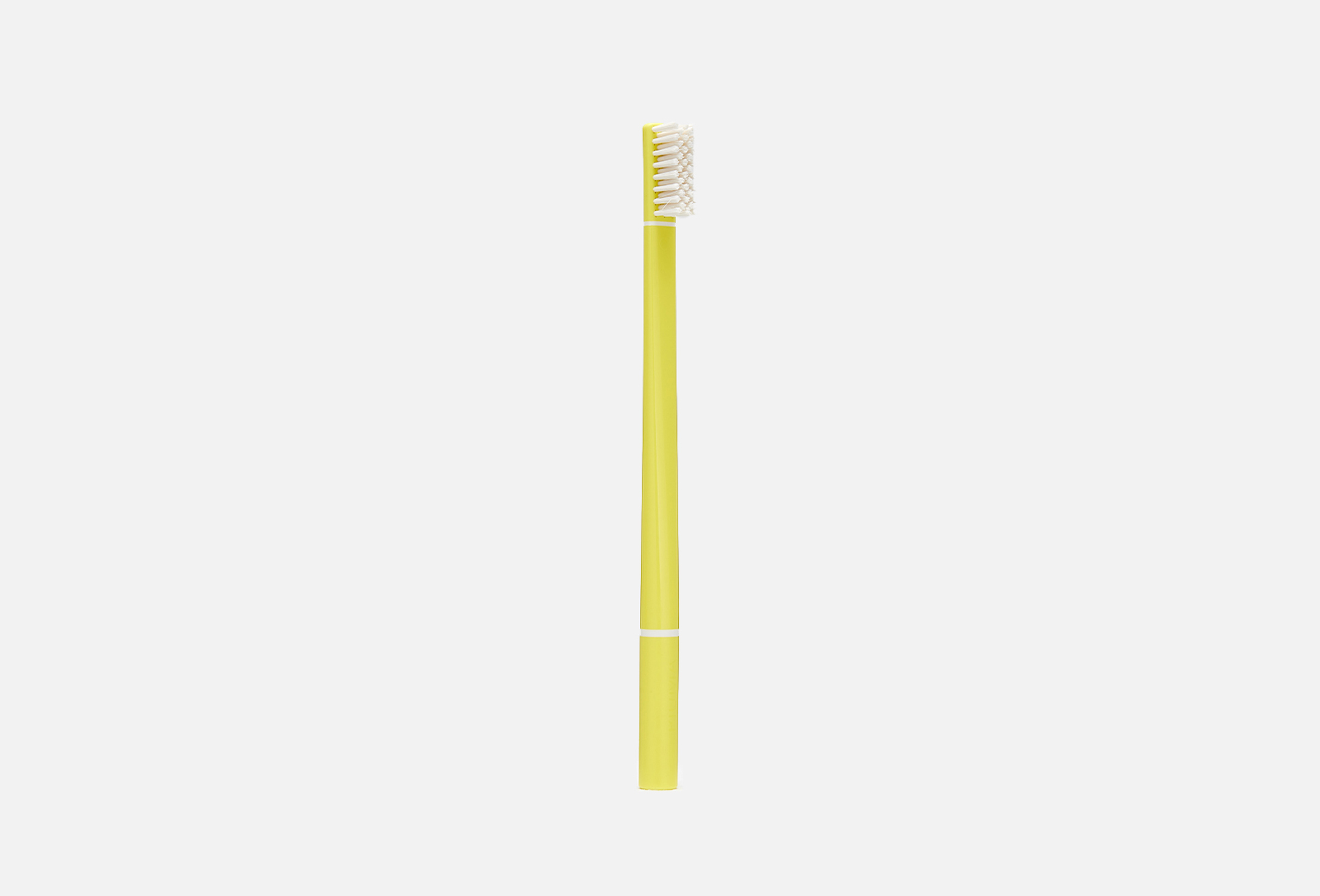 T03 Single Pack Echinacea Lemon 1
