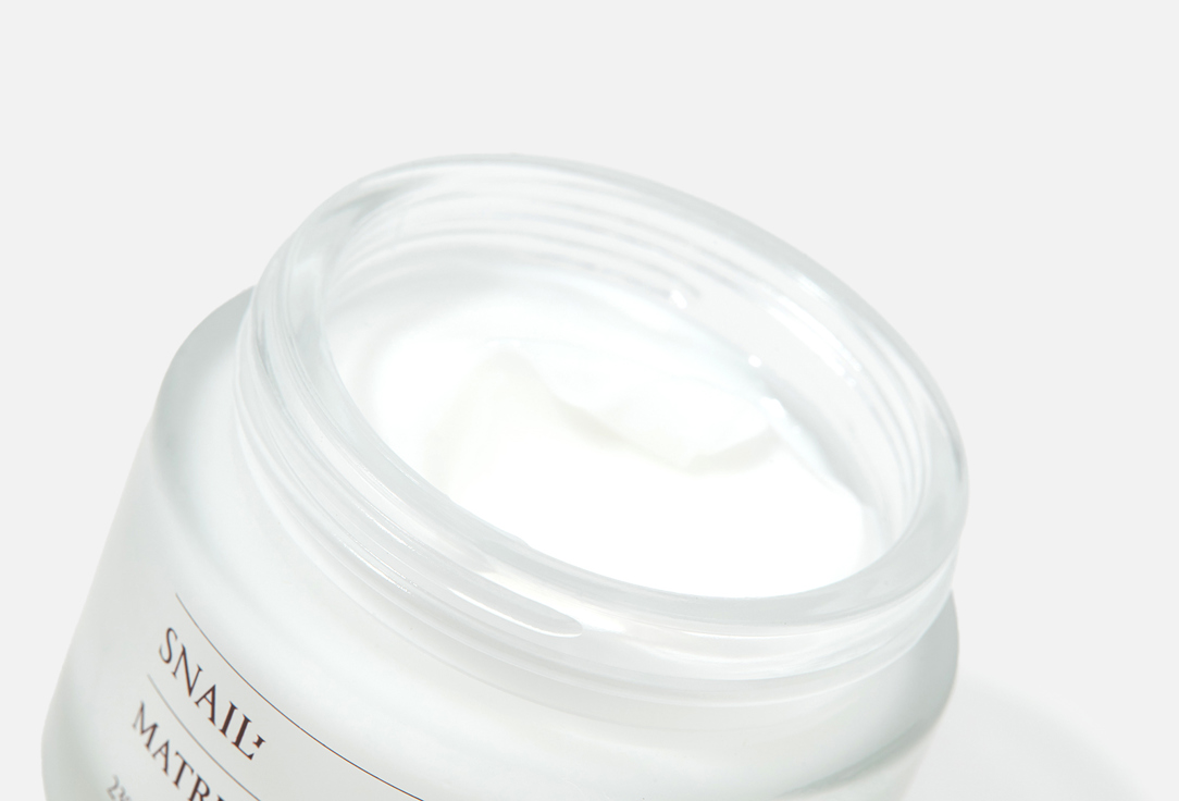 SCINIC RESTORING MOISTURIZING FACE CREAM Snail Matrix