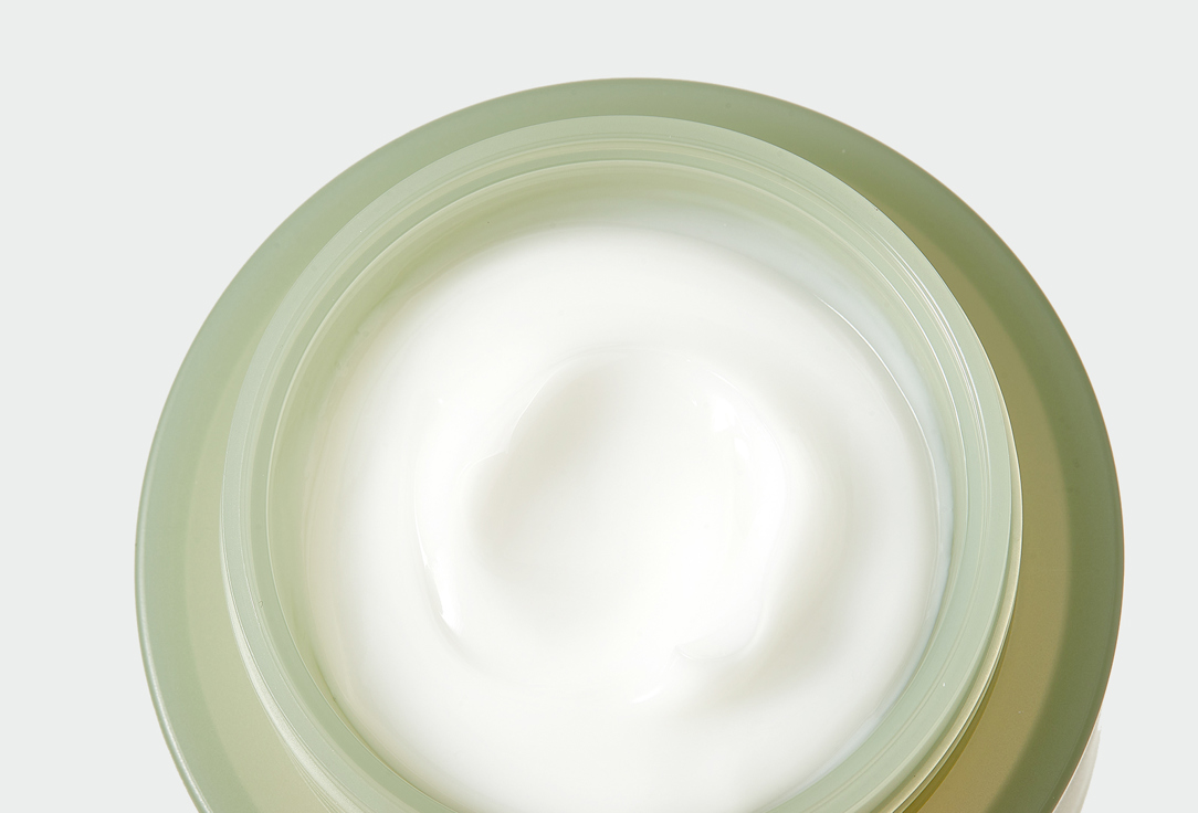 NEEDLY face skin Relief Cream Cicachid 48 ml NEEDLY face skin Relief Cream Cicachid