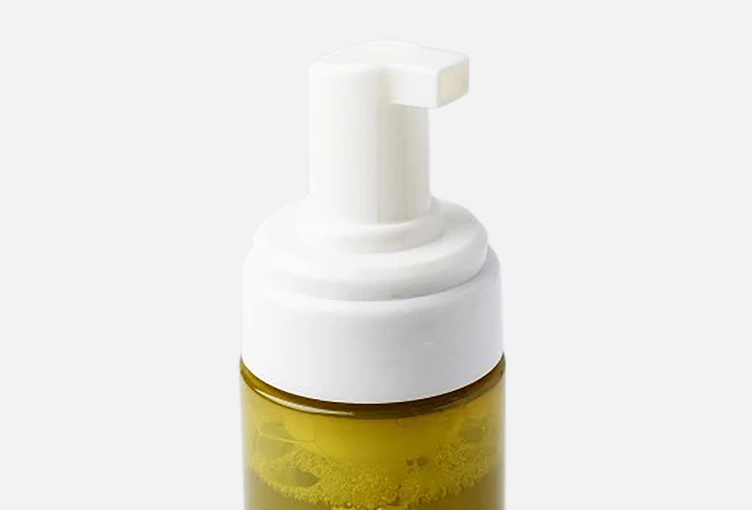 Fraijour Foam Face cleanser Original Artemisia