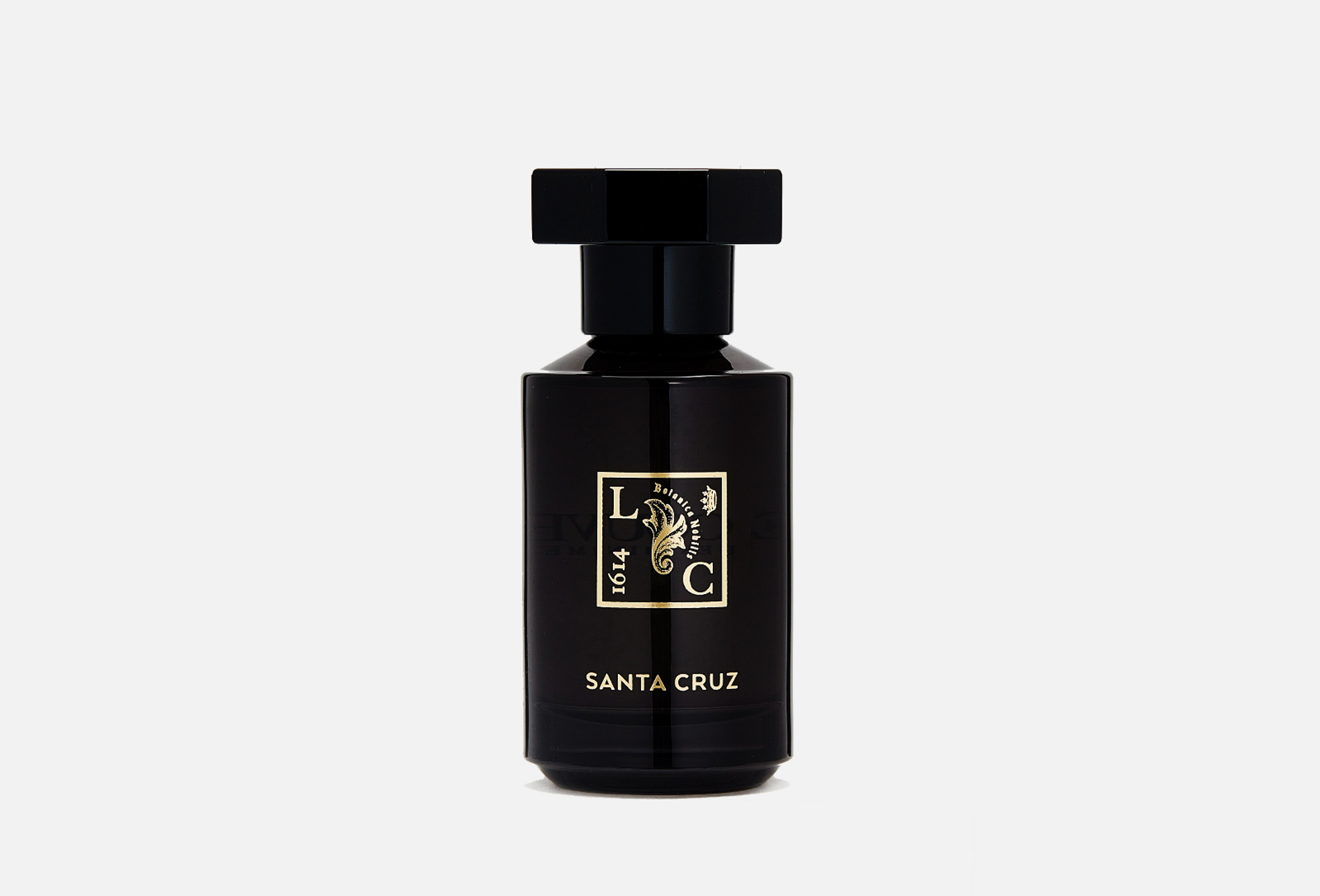 Santa Cruz 50