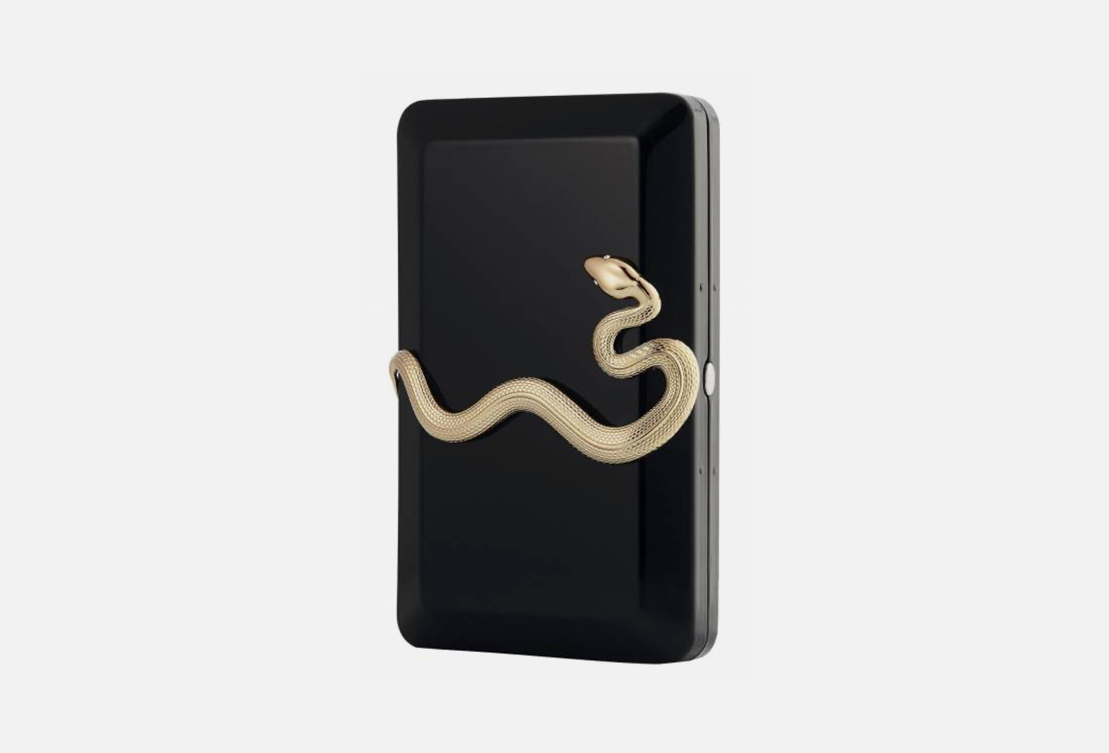 Black Snake  1 