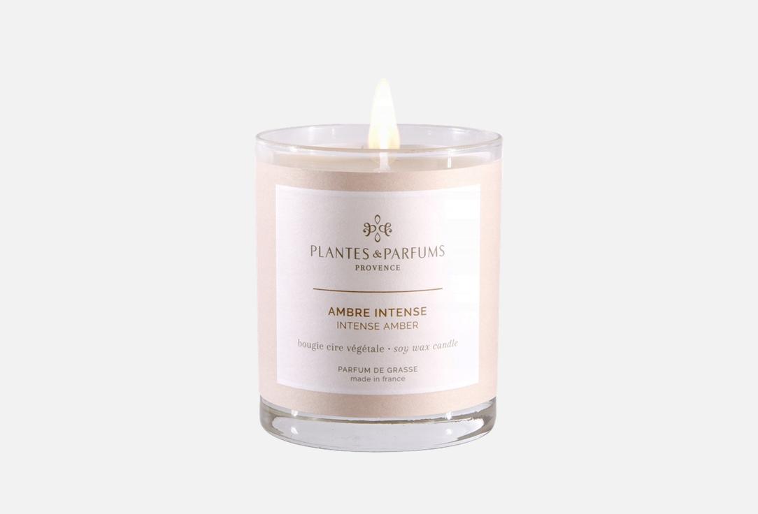 Plantes et Parfums de Provence Perfumed Candle Intense Amber