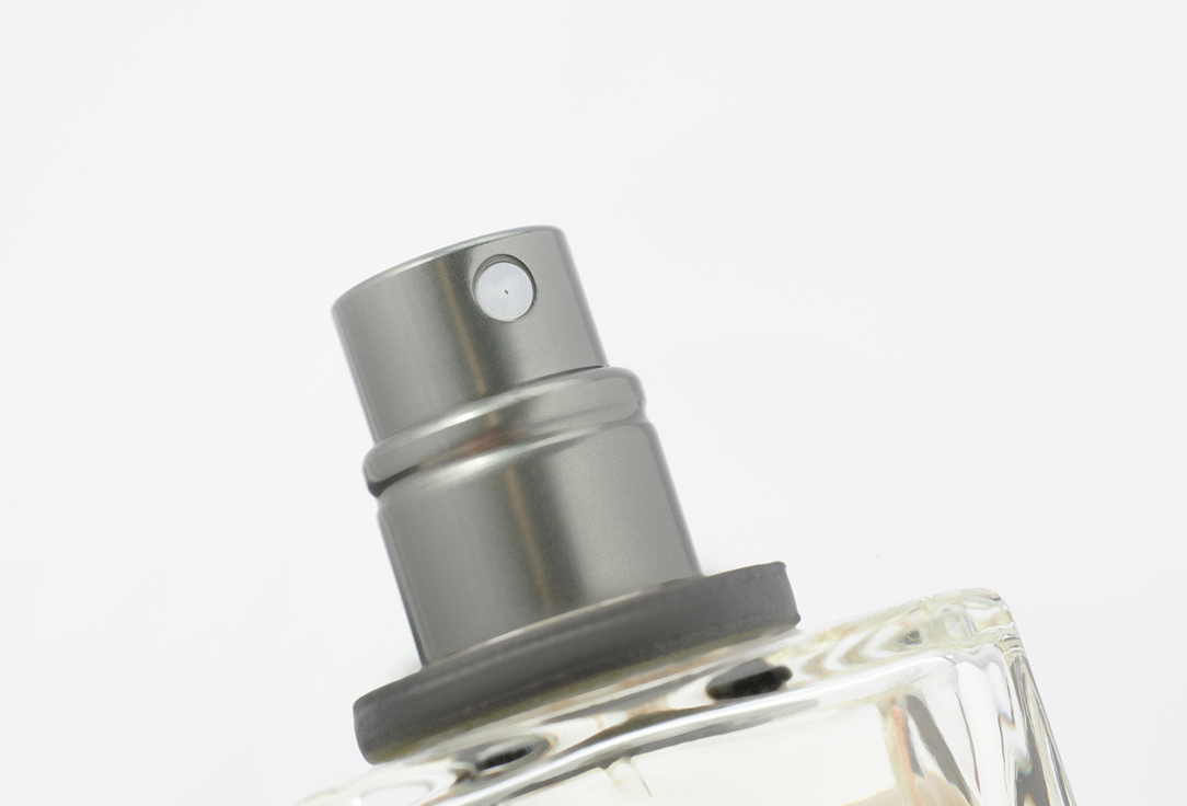 BANANA REPUBLIC Eau de parfum Black Platinum