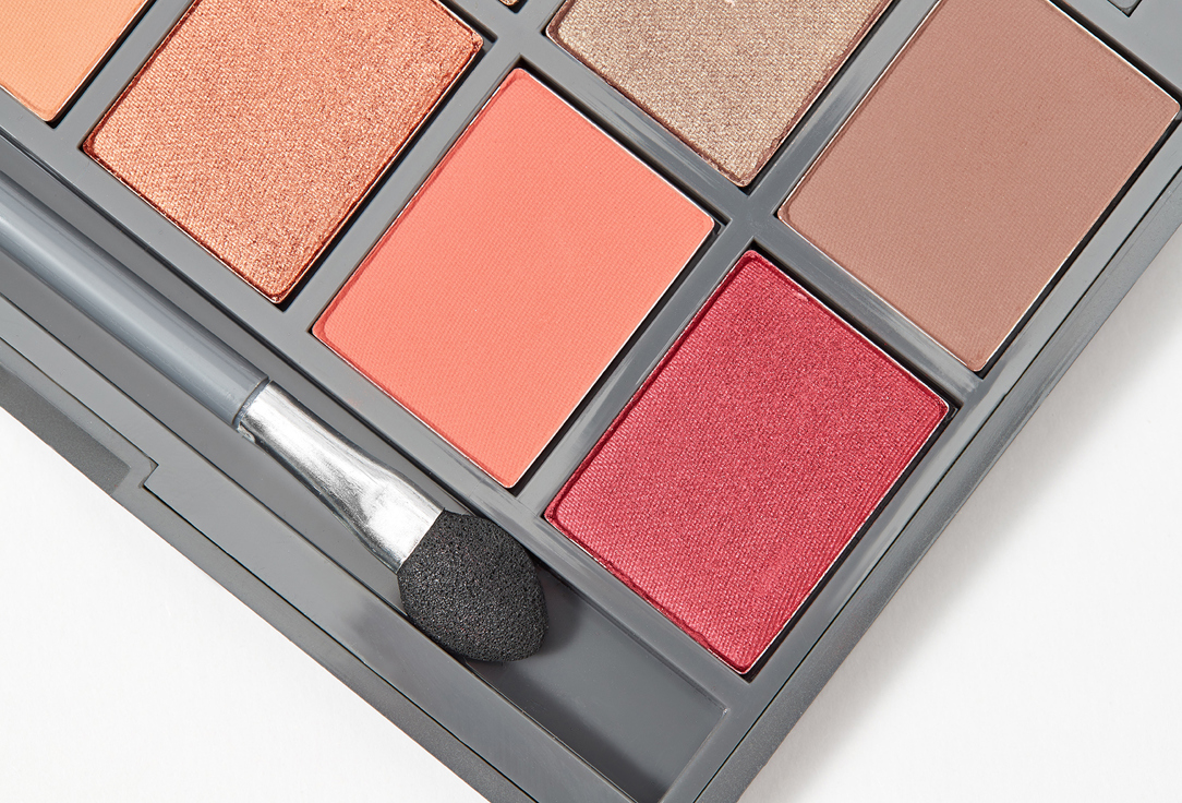 ALIX AVIEN 12-Color Eye Makeup Palette Eyeshadow Pallette