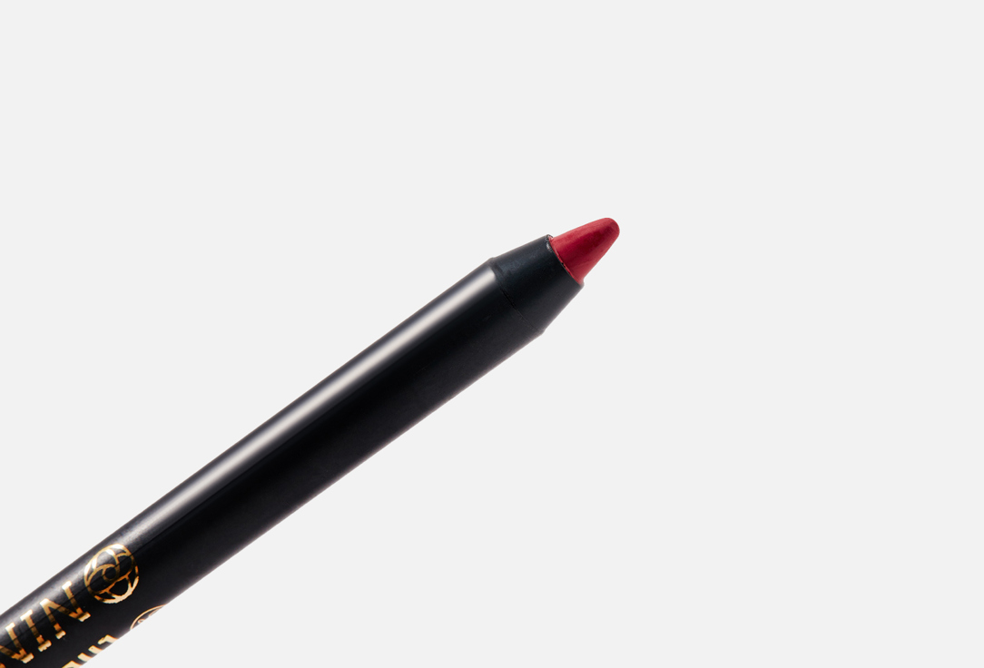 NINELLE Long-Wearing Lip Pencil Pasion