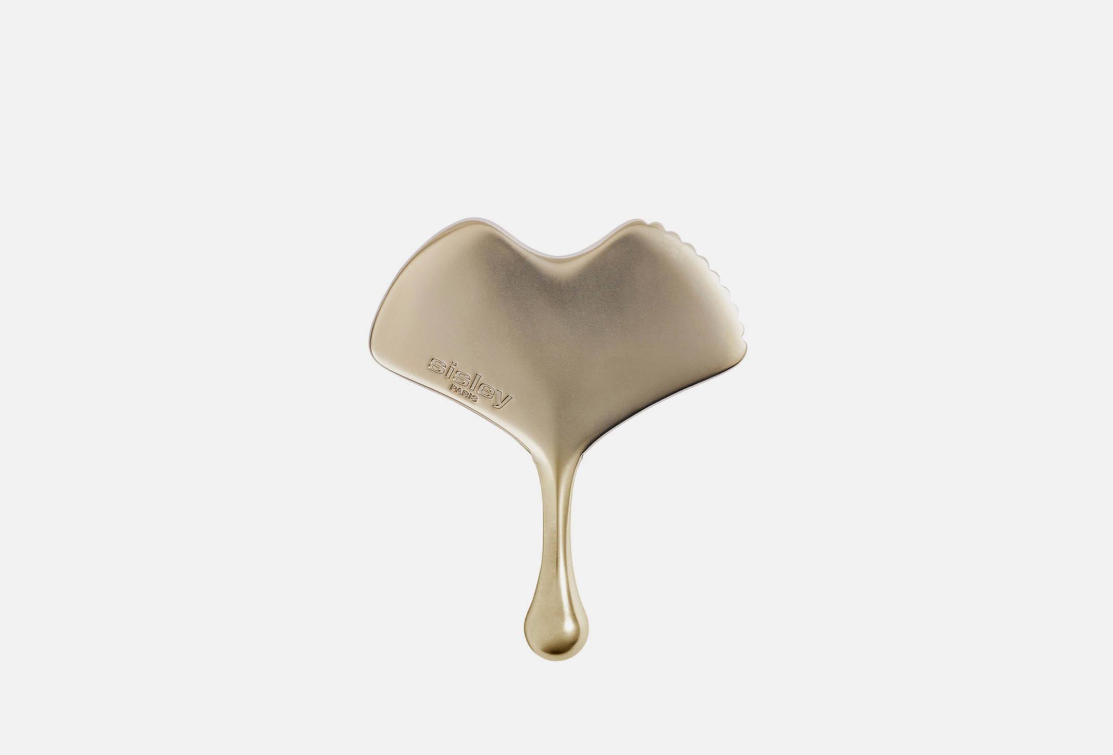 Ginkgo 1