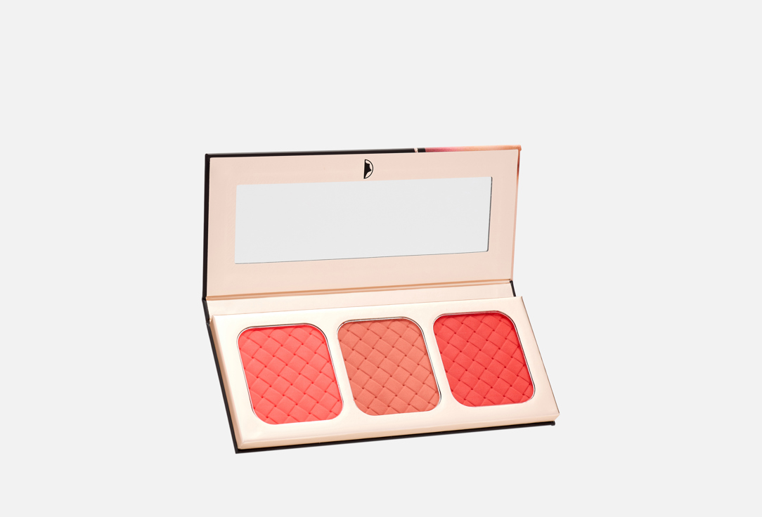 Character Face Palette Go Blush