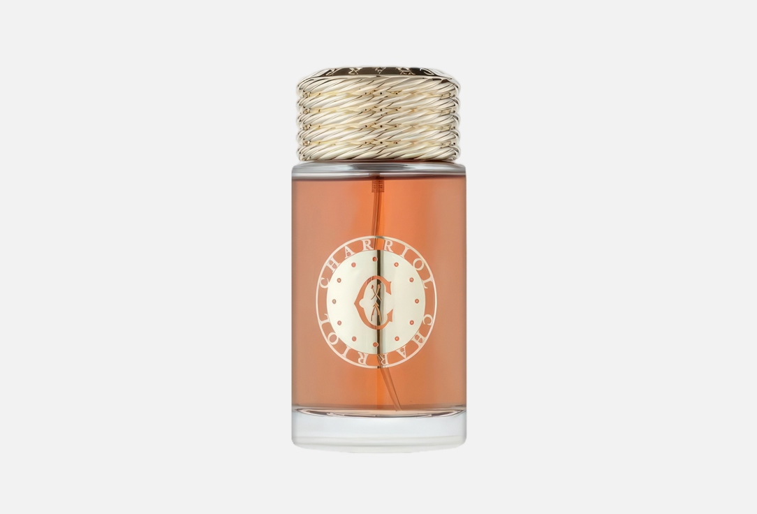 CHARRIOL Eau De Toilette Infinite Celtic 100 ml CHARRIOL Eau De Toilette Infinite Celtic