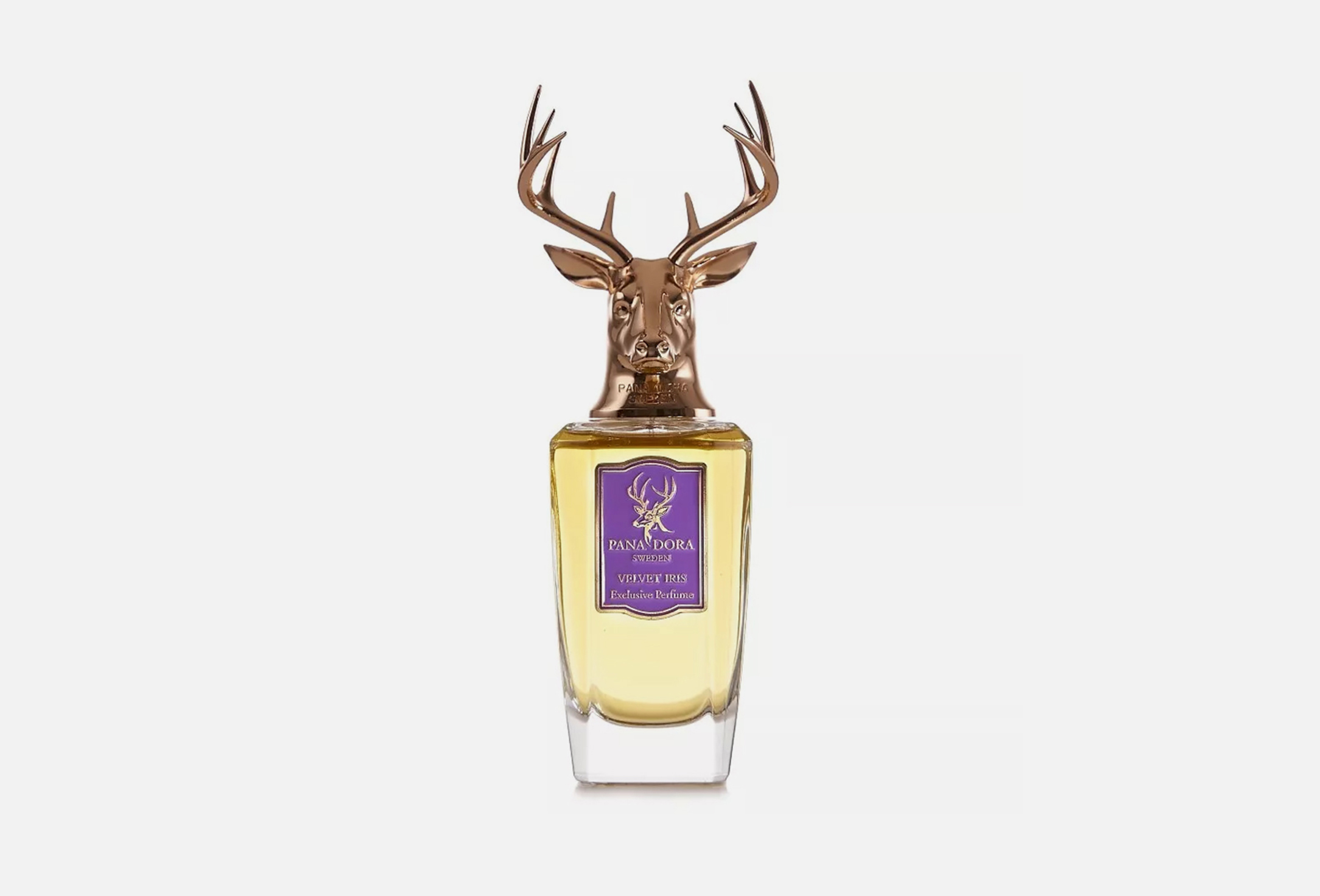 Velvet iris  100 