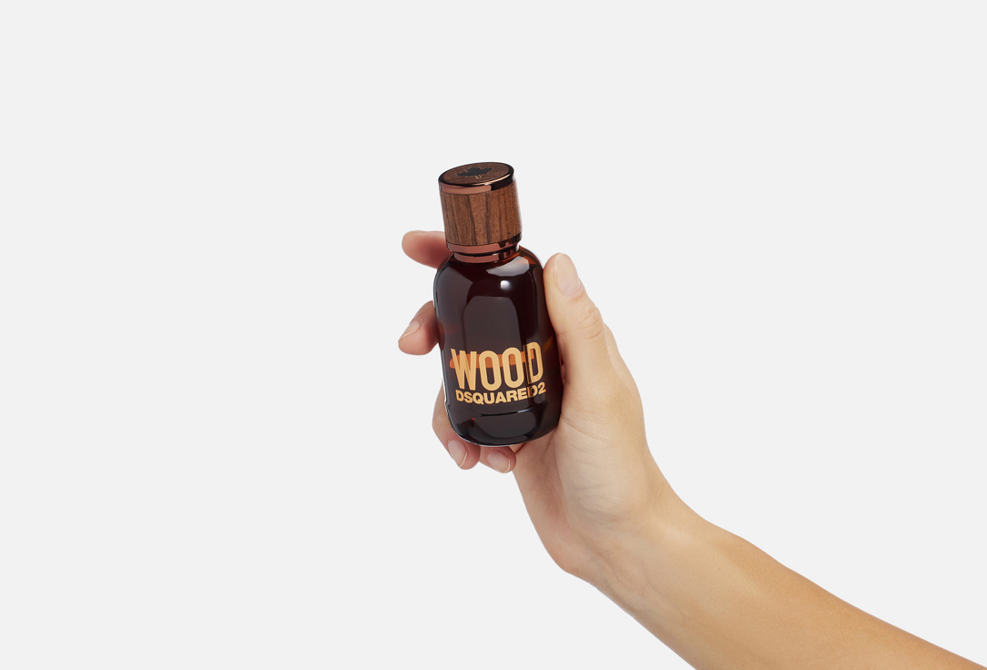 Dsquared2 Eau de toilette Wood pour homme