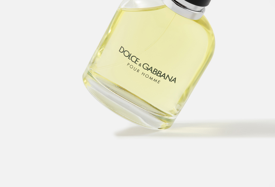 Dolce & Gabbana Eau de Toilette Pour Homme