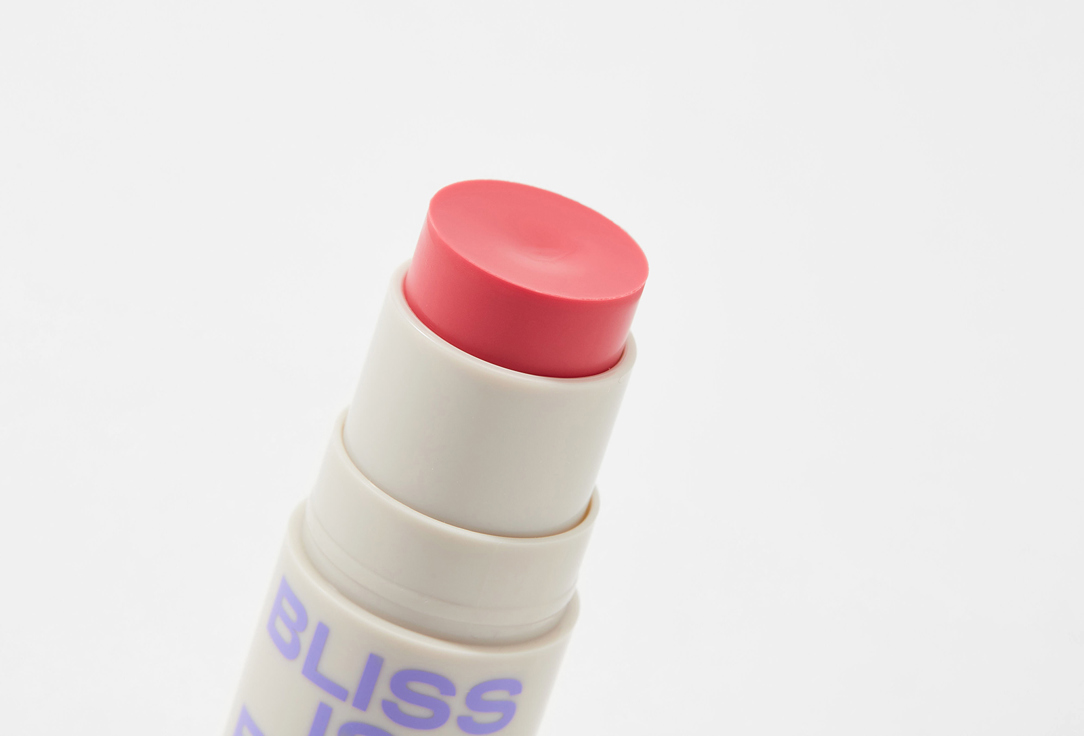 RAD BLUSH STICK hush hush dewy blush