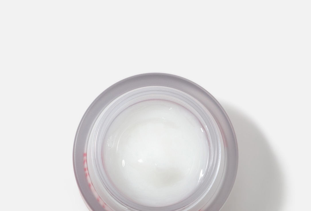THE FACE SHOP Brightening and hydrating vegan cream Rice Water Bright
