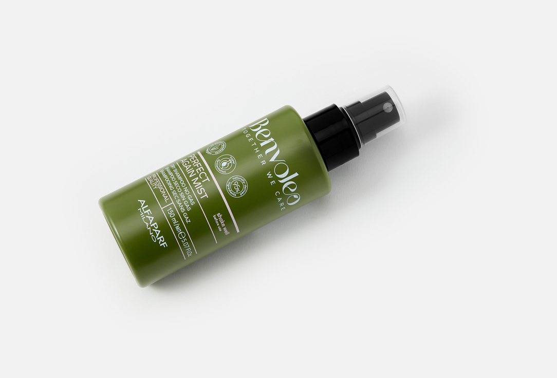Benvoleo Dry shampoo for All Hair Types Perfect again