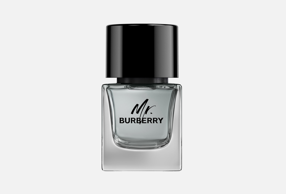 Burberry Eau de Toilette Mr Burberry