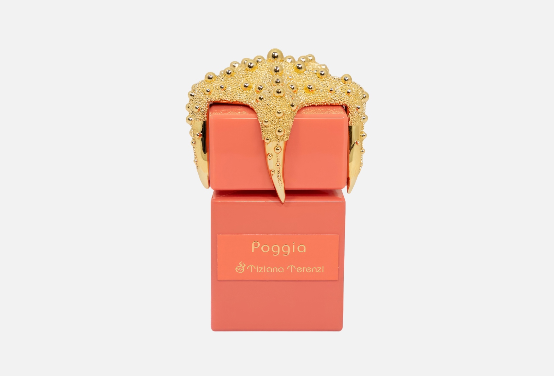 POGGIA 100