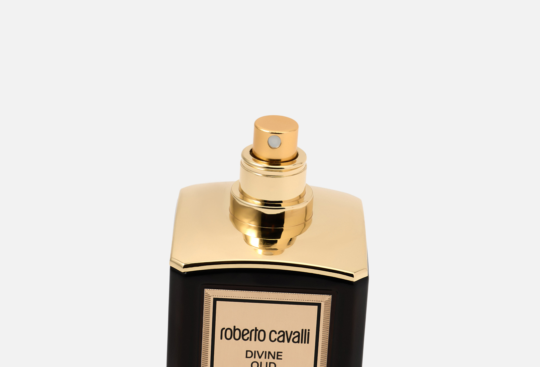 روبيرتو كفالي ماء عطر ديفاين عود 100 مل روبيرتو كفالي ماء عطر ديفاين عود