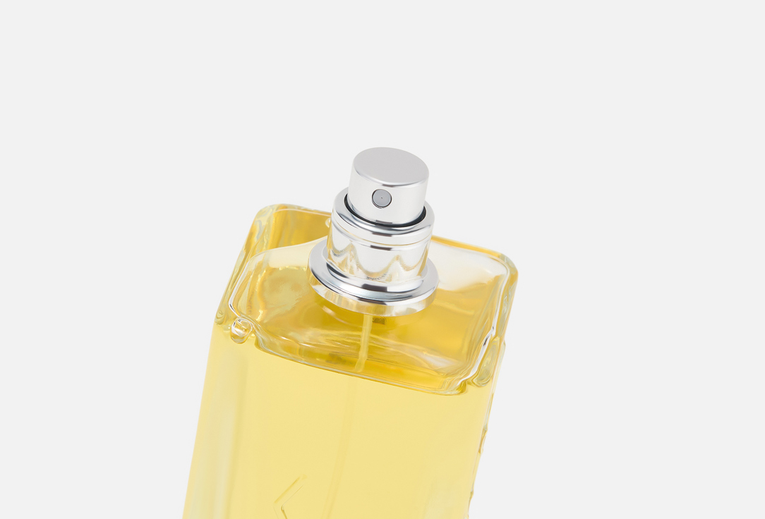 Hormone Paris Parfum This is not Endorphin 100 ml Hormone Paris Parfum This is not Endorphin