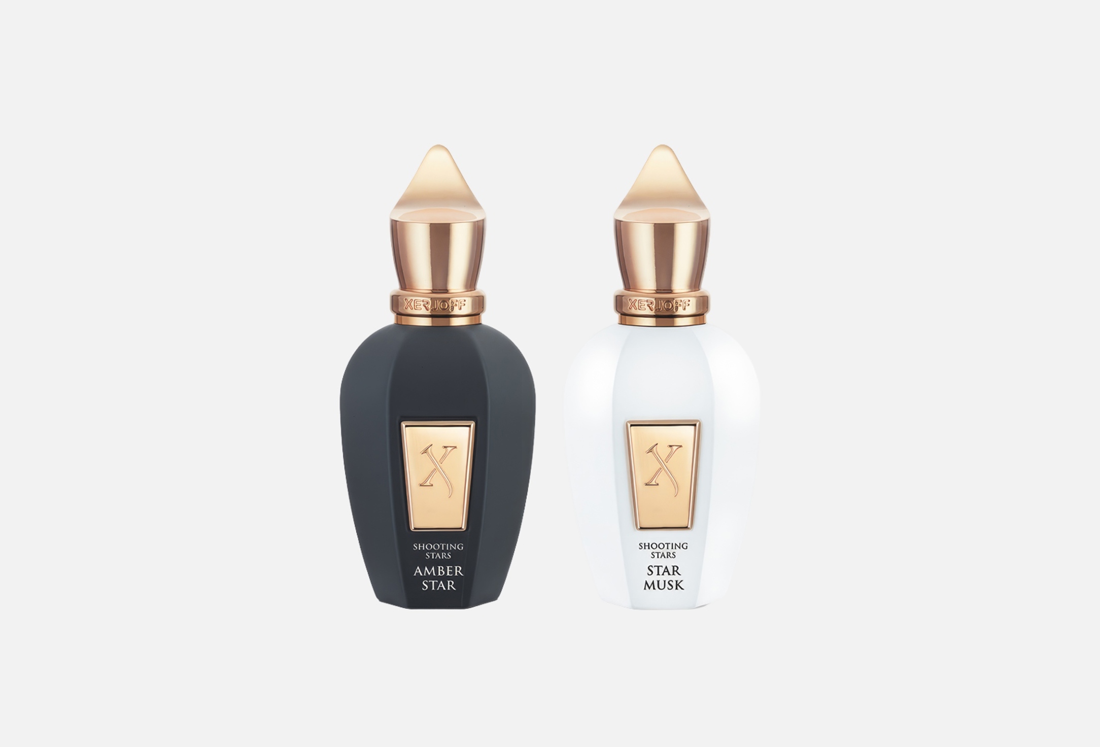 AMBER AND MUSK 2