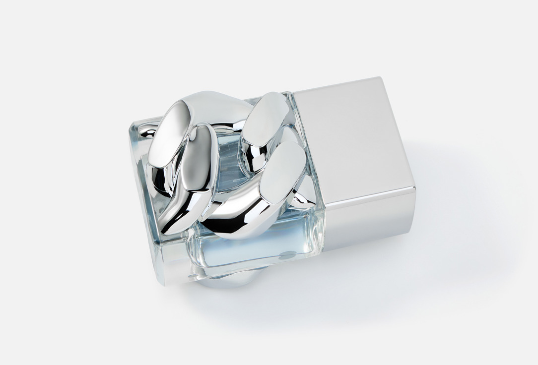 Michael Kors Eau de Parfum pour Homme