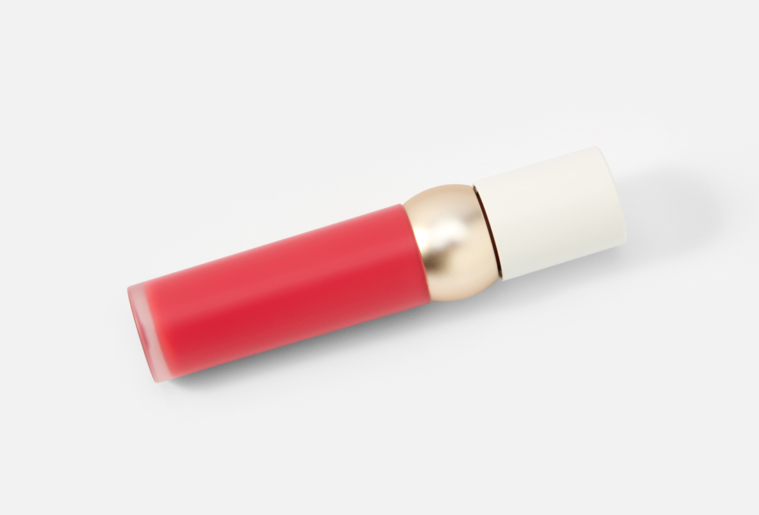 FMGT Velvet Matte Lip Gloss New Bold