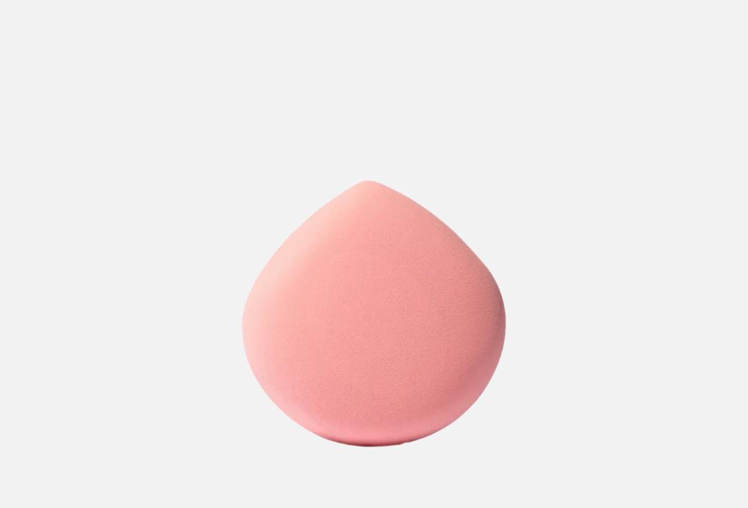 Bogenia Multupurpose sponges Make up