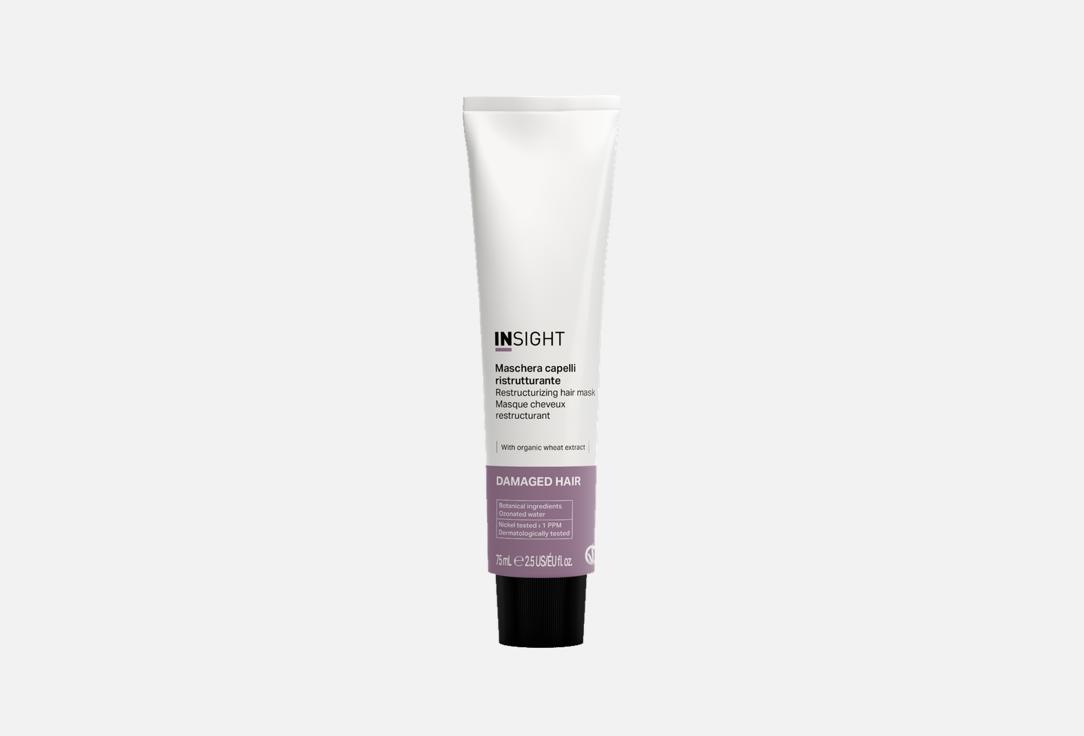 INSIGHT PROFESSIONAL Restructuring repairing hair treatment mask DAMAGED HAIR RESTRUCTURIZING