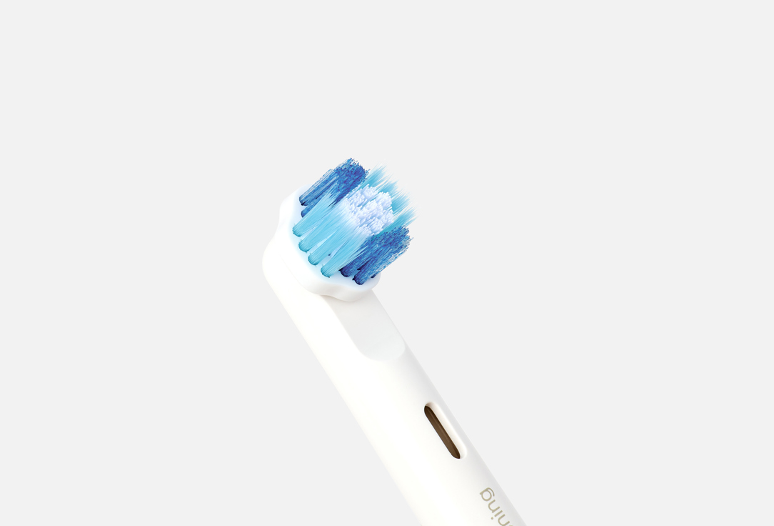 Jordan Toothbrush Replacement Head Set Whitening Brush Heads