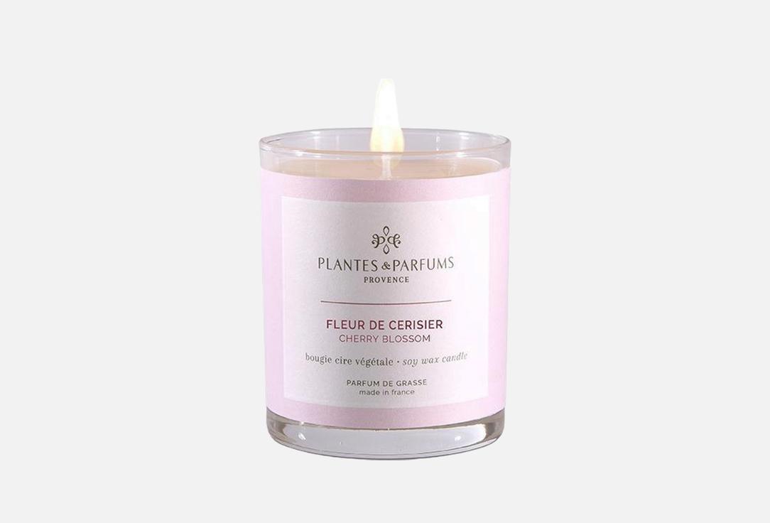 Plantes et Parfums de Provence Perfumed Candle Cherry Blossom