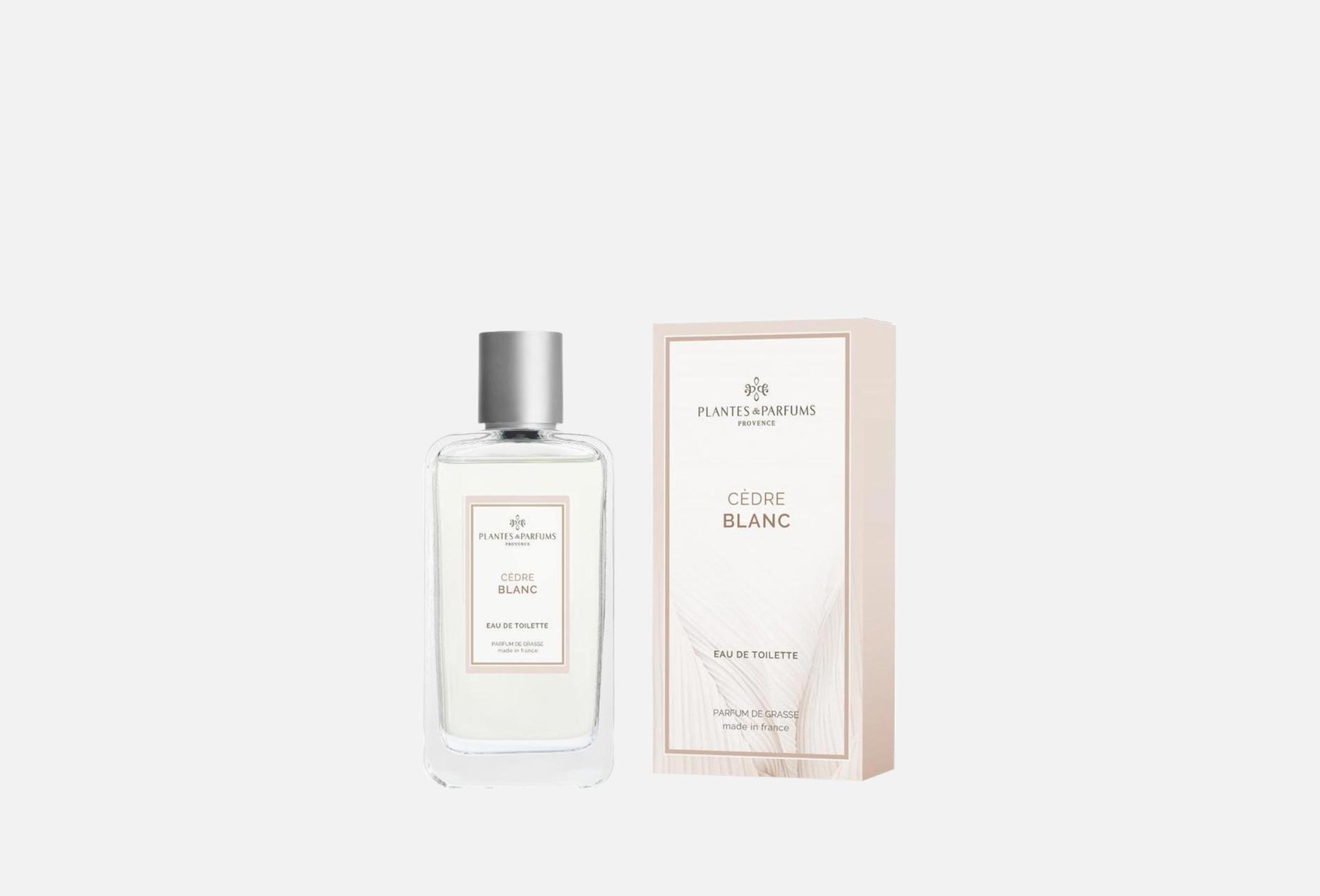 White Cedar  100 