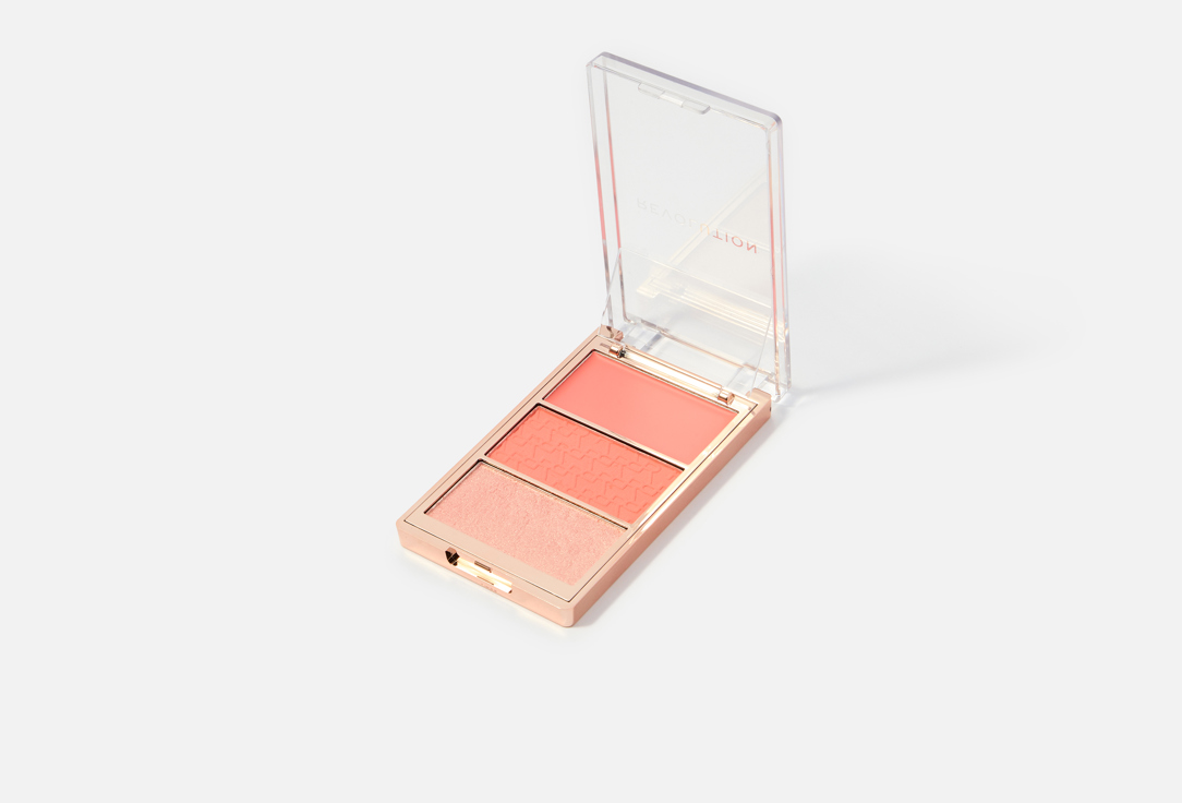 MakeUp Revolution Blush Palette Blush Icon