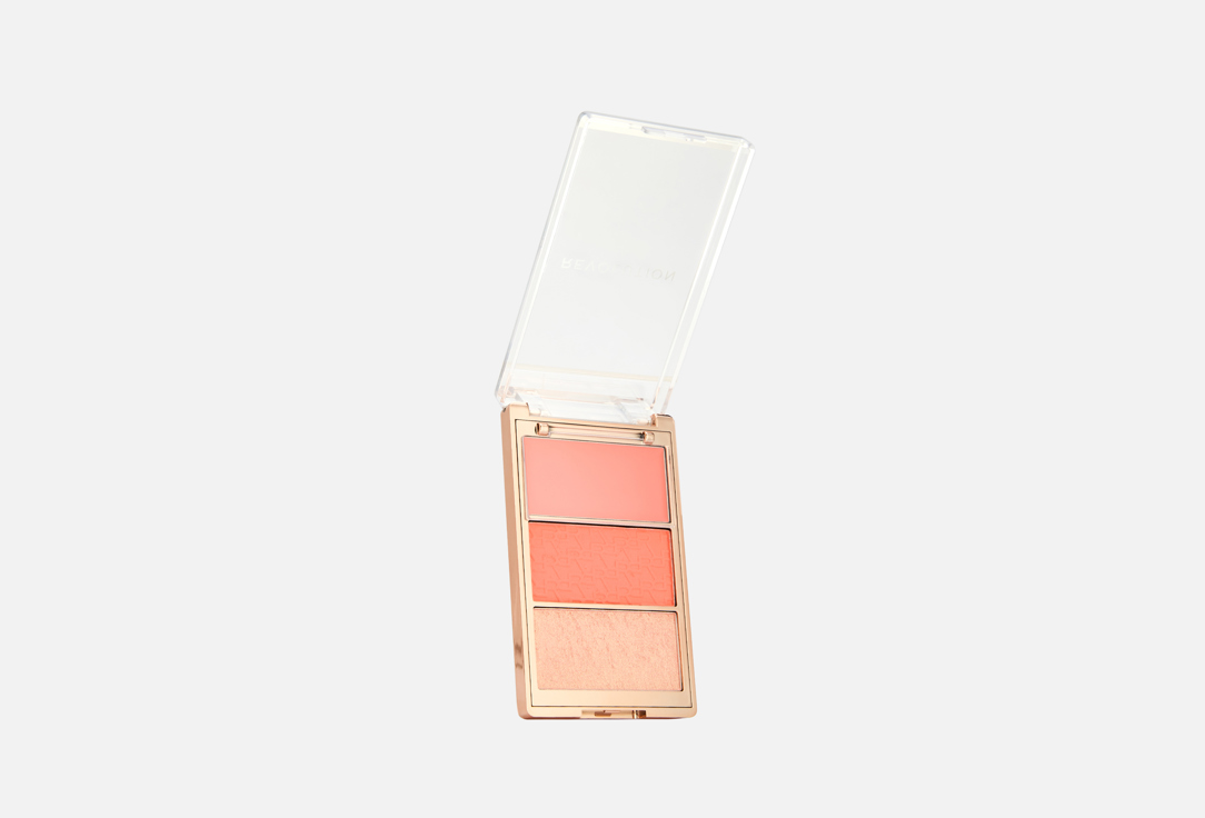 MakeUp Revolution Blush Palette Blush Icon