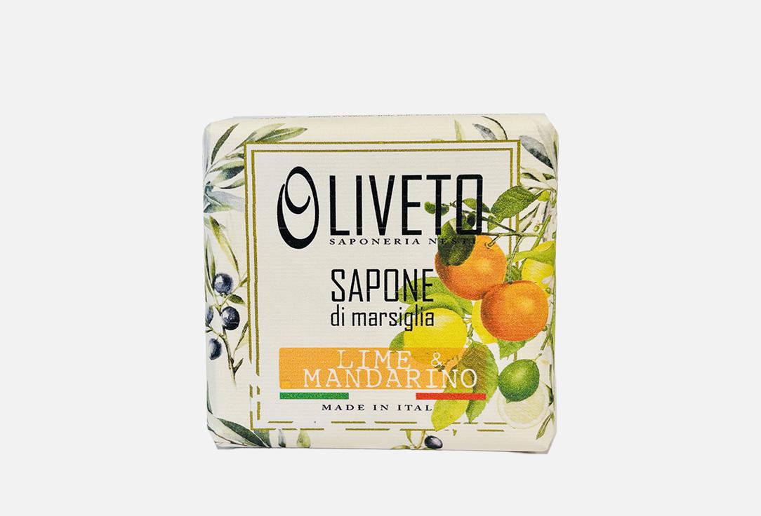 Nesti Dante Perfumed Soap Bar Lime & Mandarino Soap 200 g Nesti Dante Perfumed Soap Bar Lime & Mandarino Soap