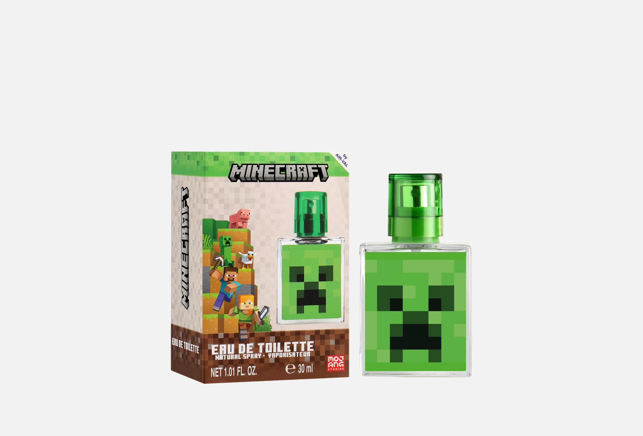 MINECRAFT 30