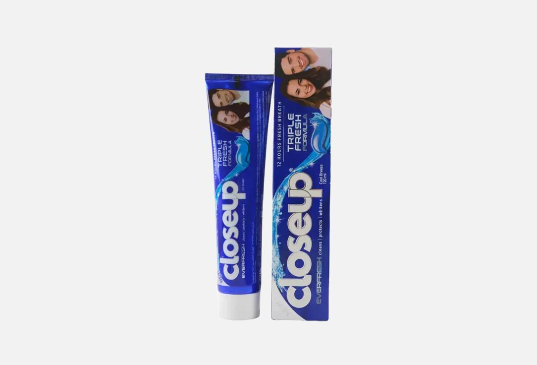 CLOSEUP Toothpaste Cool Breeze
