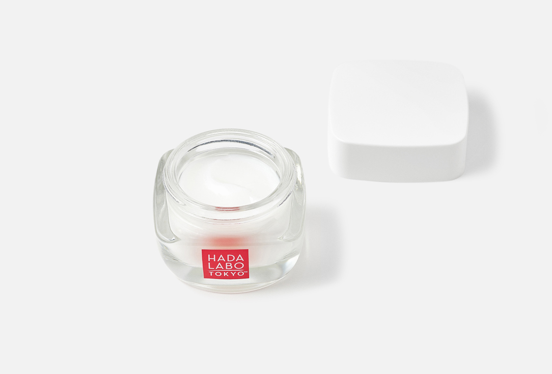 HADA LABO Deep-Hydrating Face Cream ABSOLUTE SMOOTHING & MOISTURISING CREAM