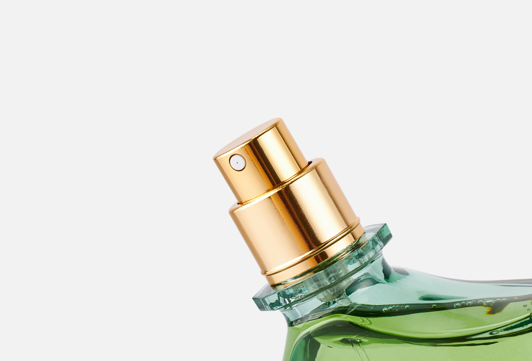 Creed Eau de Parfum Wild Vetiver