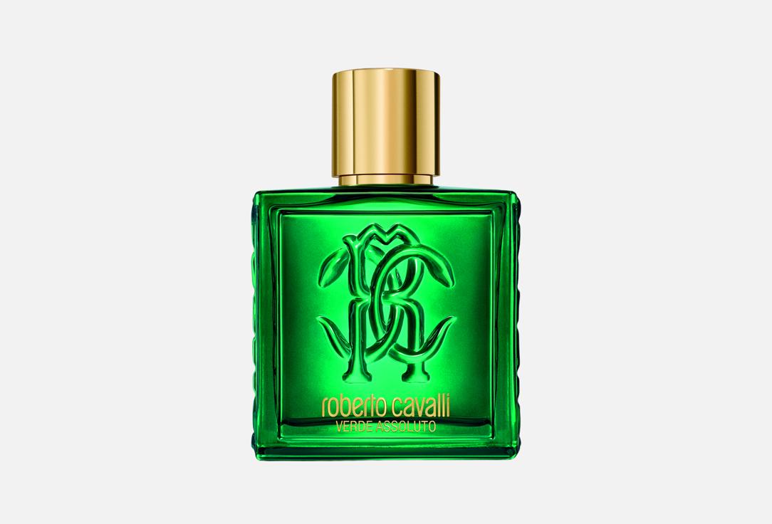 روبيرتو كفالي ماء عطر أومو فيردي أسولوتو