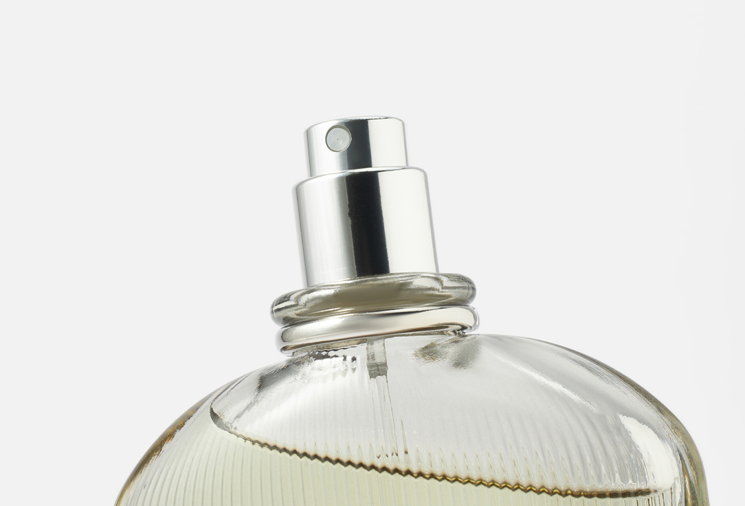 Tom Ford Eau de Toilette Grey Vetiver 100 ml Tom Ford Eau de Toilette Grey Vetiver