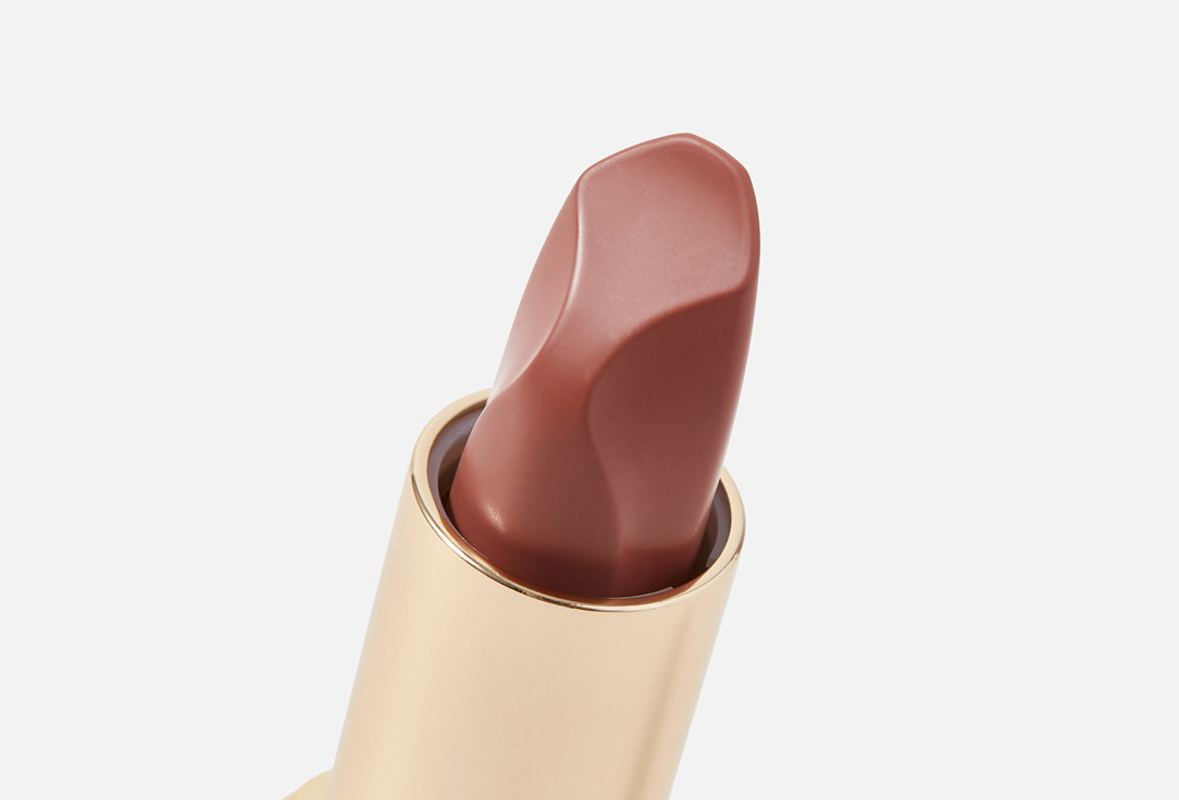 L'Oreal Paris Lipstick Color riche insolent