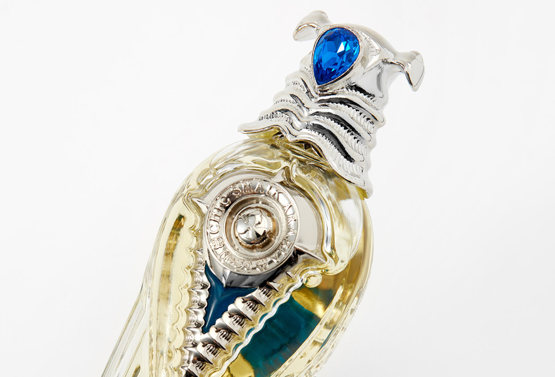 ديزاينر شيك ماء عطر نمبر 30
